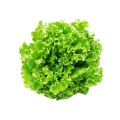Salade 